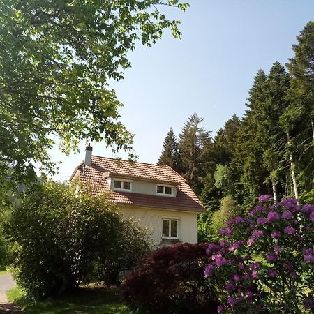 Vosges House 110 M2 In The Heart Of Nature L'Oree Du Bois Saint-Michel-sur-Meurthe ภายนอก รูปภาพ