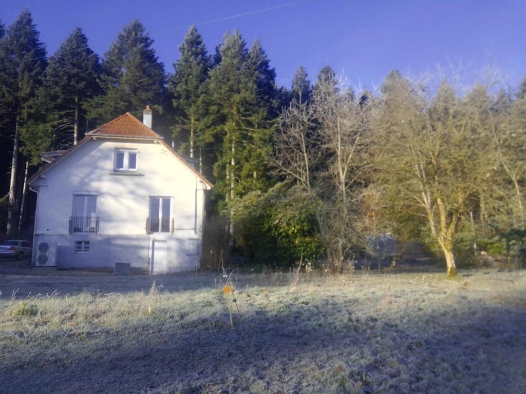 Vosges House 110 M2 In The Heart Of Nature L'Oree Du Bois Saint-Michel-sur-Meurthe ภายนอก รูปภาพ