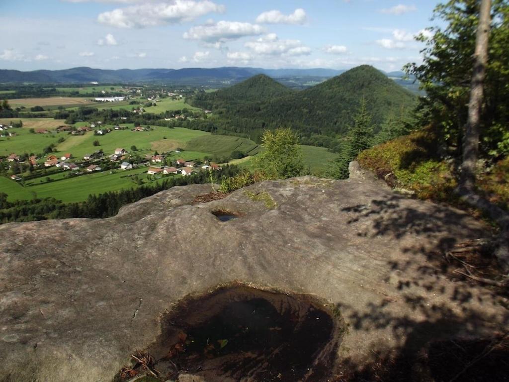 Vosges House 110 M2 In The Heart Of Nature L'Oree Du Bois Saint-Michel-sur-Meurthe ภายนอก รูปภาพ