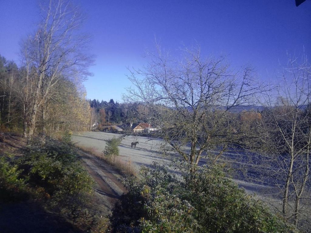Vosges House 110 M2 In The Heart Of Nature L'Oree Du Bois Saint-Michel-sur-Meurthe ภายนอก รูปภาพ
