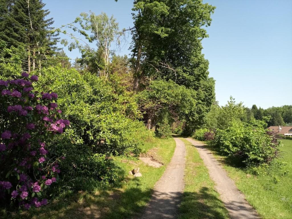 Vosges House 110 M2 In The Heart Of Nature L'Oree Du Bois Saint-Michel-sur-Meurthe ภายนอก รูปภาพ
