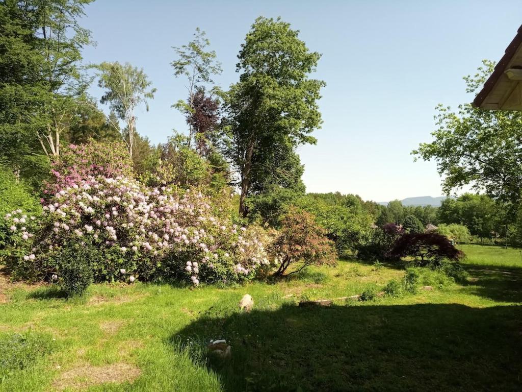 Vosges House 110 M2 In The Heart Of Nature L'Oree Du Bois Saint-Michel-sur-Meurthe ภายนอก รูปภาพ
