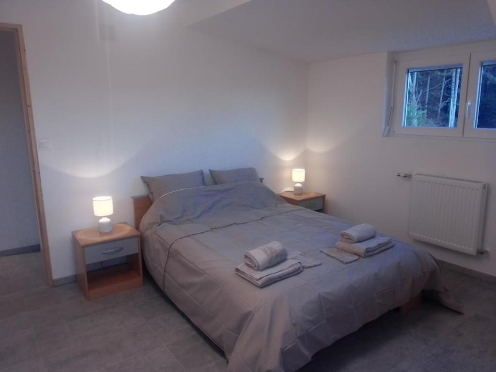Vosges House 110 M2 In The Heart Of Nature L'Oree Du Bois Saint-Michel-sur-Meurthe ภายนอก รูปภาพ